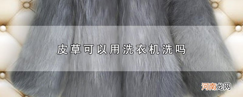 皮草可以用洗衣机洗吗