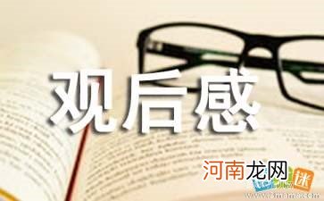 性教育观后感600字