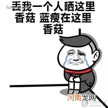 蓝瘦香菇是什么意思