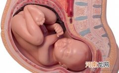 孕期如何控制胎儿体重