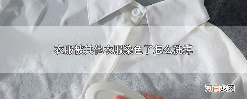 衣服被其他衣服染色了怎么洗掉