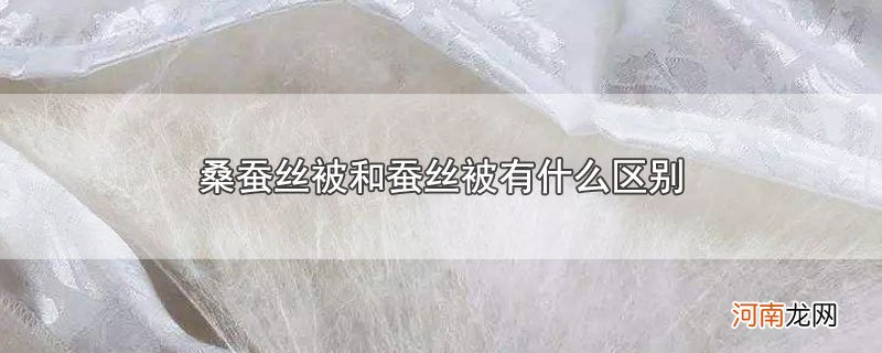 桑蚕丝被和蚕丝被有什么区别