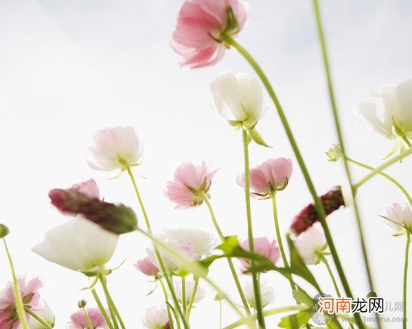 学会沉默和弯腰