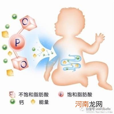 宝宝吃点“脂肪”有益健康