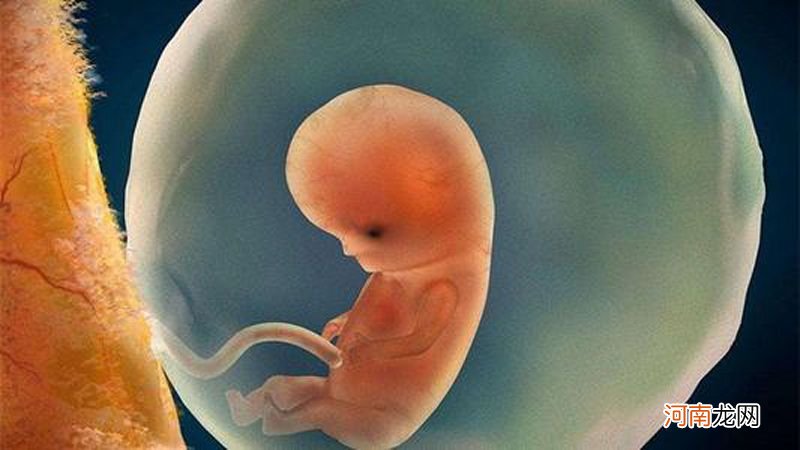 怀孕六个月胎儿发育完全了吗