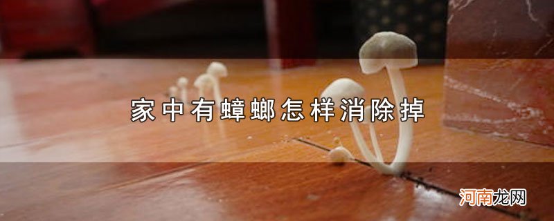 家中有蟑螂怎样消除掉