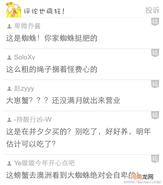 测试：你是否能做个好老婆