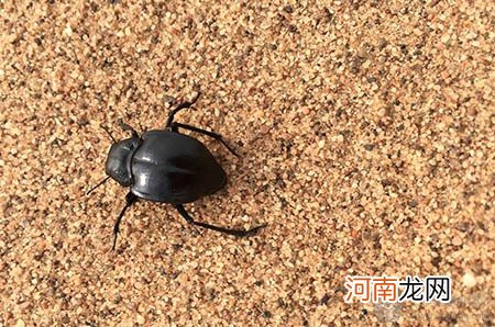 准备顺产的妈妈们，产前这些助产“神器”一定要准备！