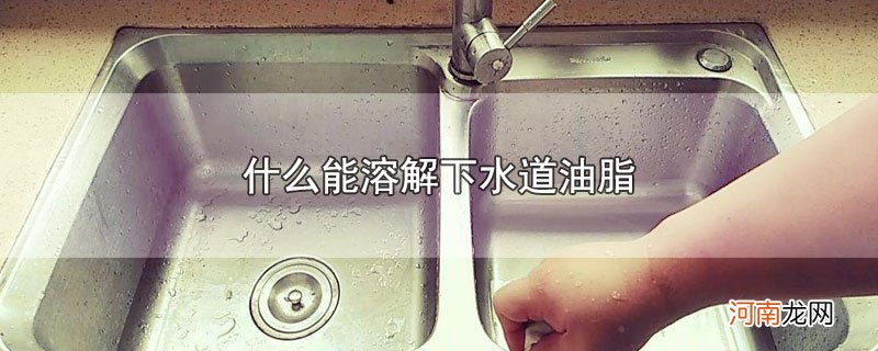 什么能溶解下水道油脂