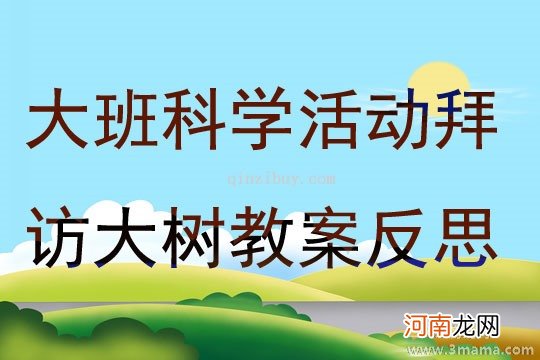 中班科学活动我们的好朋友“树木”教案反思