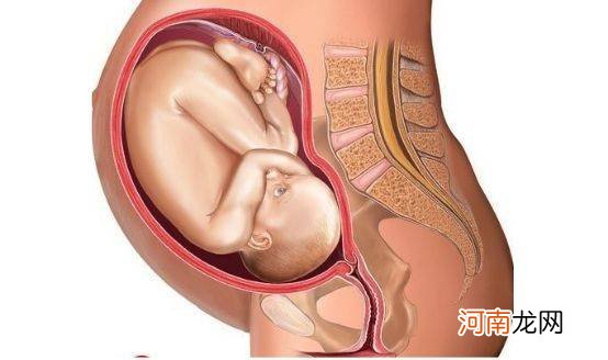 孕15周胎儿4维彩超图
