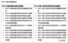 史无前例！MSCI一口气推20只中国股票指数 助力外资捕捉中国机遇