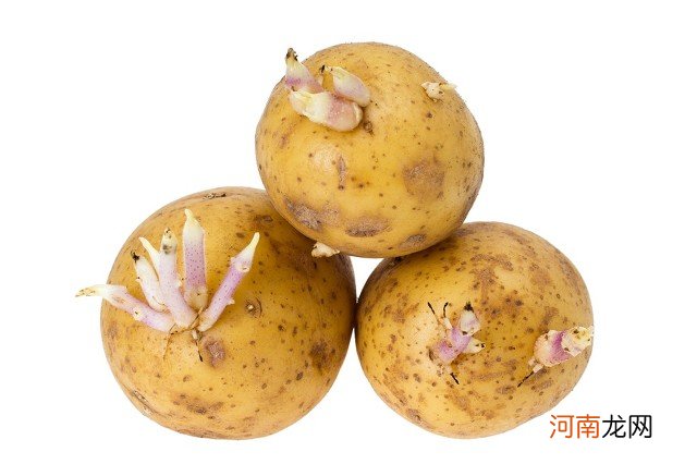 如何防止土豆发芽 防止土豆发芽的好方法是什么？