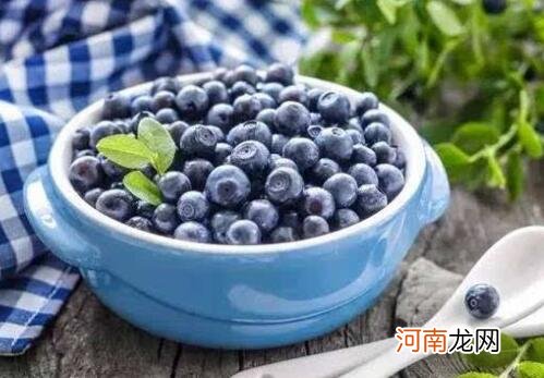 蓝莓浆果的功效与作用 吃蓝莓浆果的益处