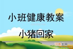 附教学反思 小班游戏活动教案：赶小猪教案