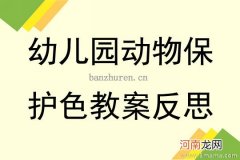 大班科学活动动物的保护色教案反思