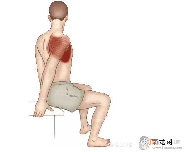 张子枫的肩膀怎么练的斜方肌消失了？斜方肌怎么消除及怎么瘦图解