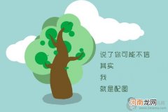 好先生孙红雷戴的眼镜是什么牌子 陆远同款墨镜揭秘