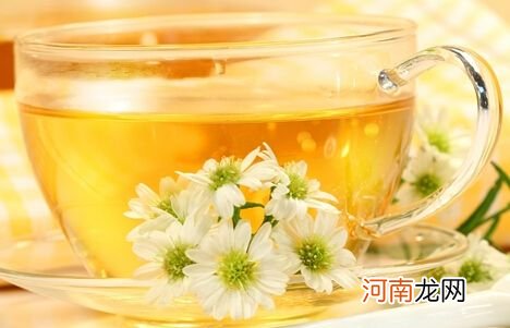 喝菊花茶怎么泡才科学研究？