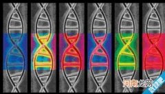 获得性遗传是什么意思?获得性遗传的理论争议