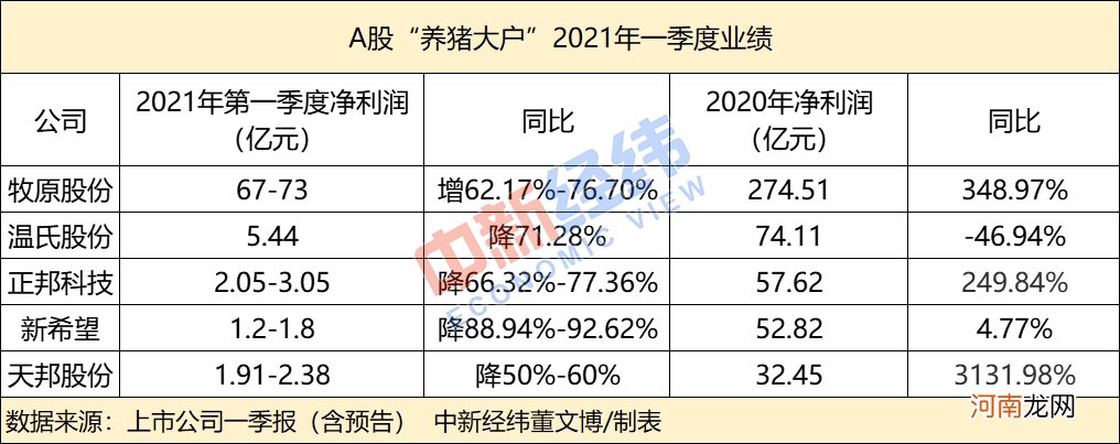 猪价连降 养猪大户一家欢喜多家愁！还能“坚强”吗？