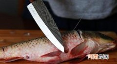 去鱼腥味的方法 年年有鱼！9种方式 让您新年时做鱼轻轻松松去腥臭味！