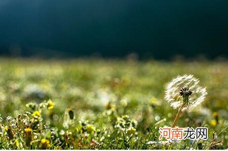 宝宝午睡很重要，教您3个方法让宝宝爱上睡午觉