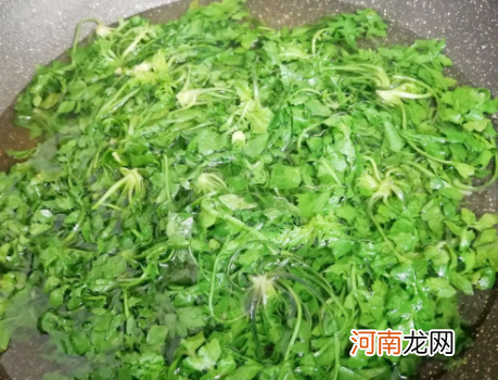 春天正值吃荠菜 冬天吃荠菜