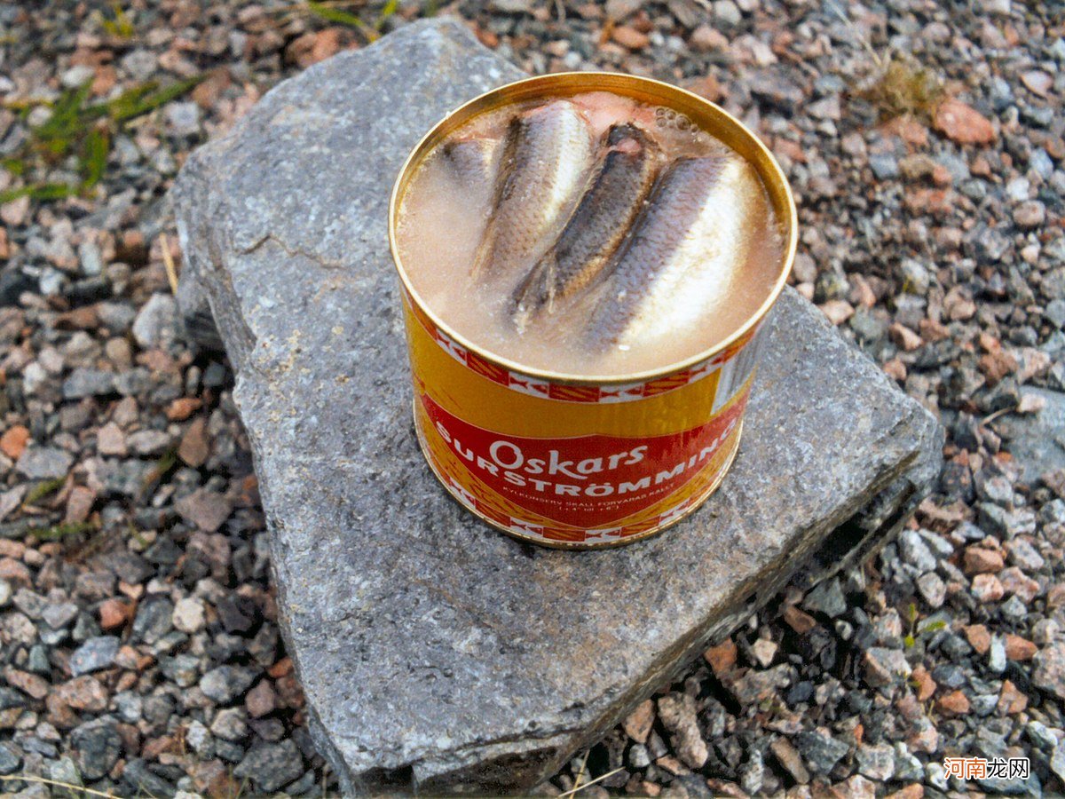 瑞典的鲱鱼罐头有多臭 瑞典 臭鲱鱼