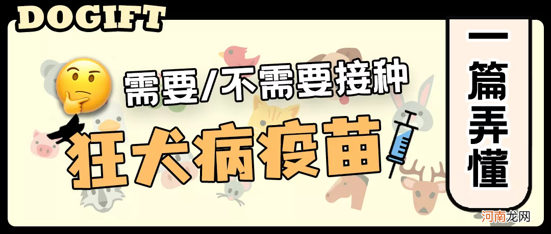 哪些情况需要打狂犬疫苗 什么情况需要打狂犬疫苗