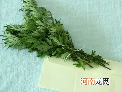 艾草叶怎样治妇科疾病 艾草叶竟能医治这7种病症