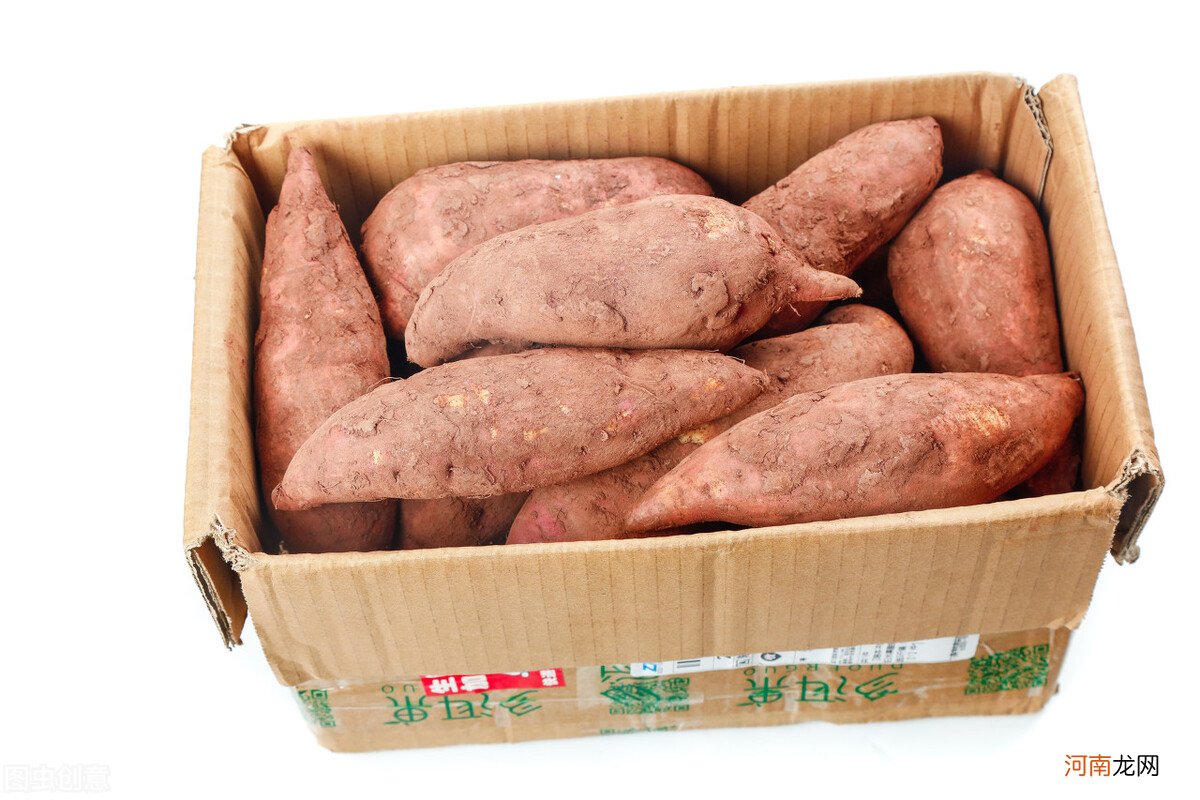 红薯享有＂长寿食品＂的美誉 红薯 长寿