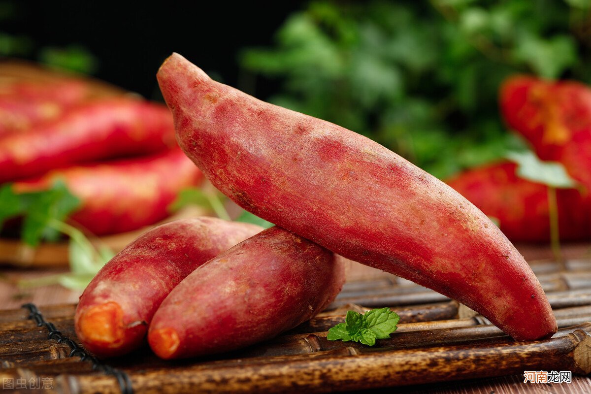 红薯享有＂长寿食品＂的美誉 红薯 长寿