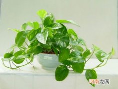 无锡甲醛检测费用无锡纳米矿晶除甲醛有用吗