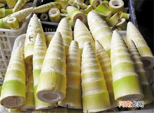 新鲜竹笋怎么处理 鲜竹笋的10种做法