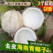 青椰子怎么打开 新鲜椰子肉最佳吃法