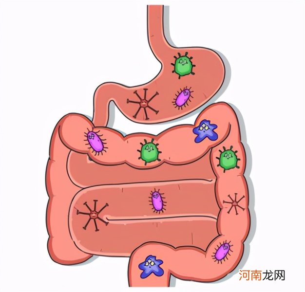 吃什么能快速解酒 吃什么能快速解酒或不醉