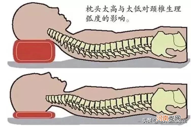 为什么睡觉时要枕头 为什么睡觉时要枕枕头?