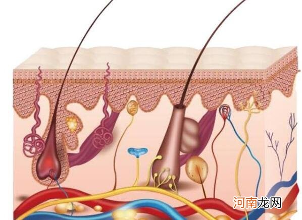皮肤干燥的原因？皮肤干的缘故都会这