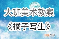 附教学反思 大班美术活动教案：橘子写生教案