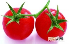 西红柿怎么保存 西红柿怎么保存最好