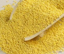 黄米是什么米 黄米和小米一样吗