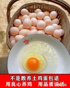 无菌蛋和普通蛋的区别 怎么把生鸡蛋变成无菌蛋