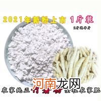 冬笋粉的功效与作用 冬笋粉的功效与作用及食用方法