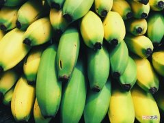香蕉是什么季节的水果 香蕉跟什么水果在同一季节成熟