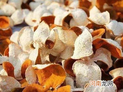 陈皮如何泡水喝 陈皮泡水的正确泡法