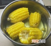 煮玉米吃了会发胖吗 减肥食谱一周瘦10斤