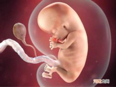 孕15周能看清胎儿性别
