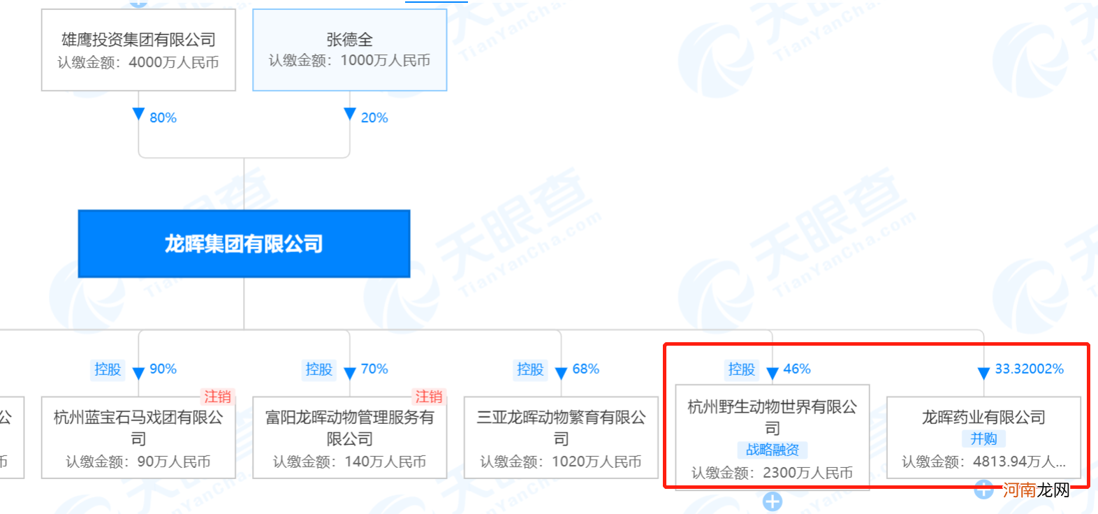 法定代表人被采取刑事强制措施 杭州野生动物世界背后是谁？