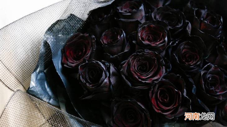 黑玫瑰代表什么意思 给女人叫黑玫瑰的含义